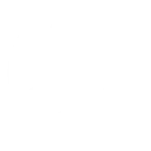 Trusted by Global Clients